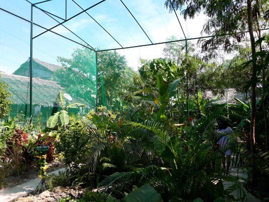 Santa Fe Schmetterlingsgarten